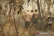 Pemprov Kalteng dorong lahan rawan karhutla dimanfaatkan secara tepat