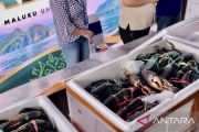 BKHIT Maluku akselerasi berbagai produk perikanan unggulan daerah menuju pasar global