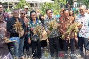 Pemkot Yogyakarta optimalkan keterbatasan lahan untuk pertanian terpadu
