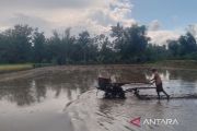 Blora peroleh tambahan 3.000 ton pupuk subsidi
