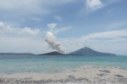 Luas Anak Krakatau kini 341,5 hektare, melampaui ukuran sebelum kolaps