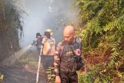 Riau reports zero active forest and land fires
