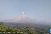 Semeru erupsi dengan tinggi letusan capai 1.300 meter di atas puncak