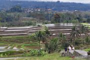 Bali DGT expands tax base to boost revenue
