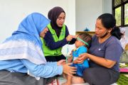 RAPP perkuat kapasitas kader di 320 Posyandu di Riau