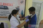Barantikan suntik vaksin gratis 50 ekor HPR di Kupang