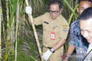 Tingkatkan agribisnis, Pemkab Tangerang dorong pemberdayaan petani muda