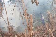 Karhutla di Kobar sudah mencapai 2.418 hektare