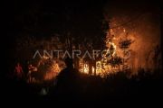 Indonesia's wildfires decline to 96 hectares as containment continues
