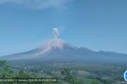 Semeru berdentum, BPBD imbau warga Lumajang tak panik