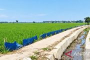Irigasi di persawahan Karawang mengering, pompa air jadi harapan