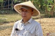 DKPP Bantul sebut kemarau panjang belum berdampak ke pertanian