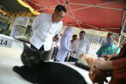 Sleman gelar vaksinasi gratis pertahankan status bebas rabies