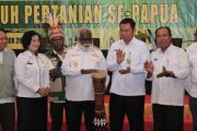 Pemerintah pusat dorong pengembangan sektor pertanian di Papua Selatan