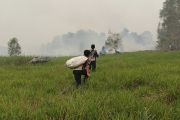 Tim Dishut Kalteng tempuh tiga jam gunakan perahu tangani kebakaran Tahura Isen Mulang