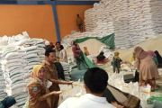 Cadangan beras Bima turun dari 13,4 ton menjadi 6 ton akibat efisiensi
