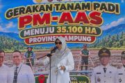 Kementan sebut September maksimalkan tanam padi jaga stok beras