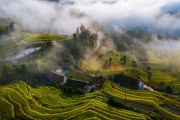 4th "From Ziquejie Terraces To The World" Global Farming Culture Exchange and Mutual Learning Conference Opens in Loudi, Hunan