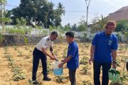 Rutan Raha panen terong dukung program ketahanan pangan