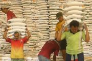 Kementan sebut stok beras nasional aman hingga sepuluh bulan