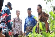 DIY selenggarakan Inovasi Lumbung Mataraman dorong ketahanan pangan