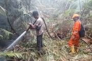 Pemkab Lingga larang pembukaan lahan dengan cara dibakar untuk cegah karhutla