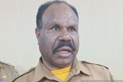 Pemprov Papua Pegunungan pastikan 24 hektar lahan ditanami hortikultura