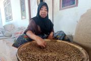 BI NTB mendampingi petani kopi Sajang tingkatkan kualitas dan produksi