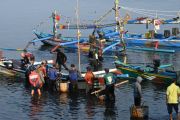 Bali's Pengambengan Port project to create 25,000 jobs: Minister