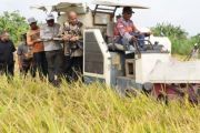 Gubernur targetkan Papua swasembada beras pada 2028