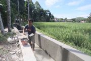 Aceh Selatan alokasikan Rp1,6 miliar untuk pemulihan areal pertanian
