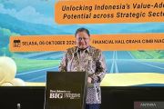 Indonesia membidik investasi hilirisasi capai Rp3.839 triliun hingga 2029