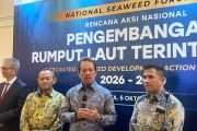 Indonesia turns to seaweed as strategic solution for food security