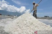 Tambak ke Industri, Garam Bima Mengejar Nilai Tambah