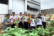 Lapas Baubau ajarkan warga binaan keterampilan bertani untuk bekal kemandirian saat bebas