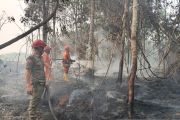 Satgas Karhutla temukan 2,5 hektare lahan terbakar di Batang Hari