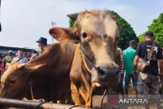 Pemkab Blora catat melakukan vaksinasi PMK terhadap 44.204 ekor sapi