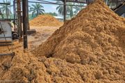 Produksi biomassa sawit hadapi sejumlah kendala