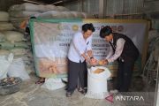 Penyaluran jagung SPHP Bulog Magelang dekati 100 persen