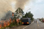 Tim gabungan padamkan karhutla 4 hektare di Tanjungpinang