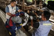 OJK: Kredit produktif di Kalimantan Tengah capai puluhan triliun rupiah