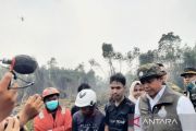 Indonesia to raise forest rangers to 70,000 from 4,500