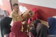 Padang Pariaman bentuk tim percepatan pendaftaran Perlinsos Digital