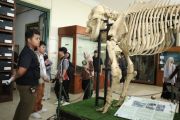Yogyakarta perkuat peran museum ruang edukasi pengetahuan sejarah