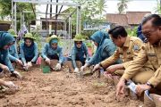 Ketua TP PKK Lampung apresiasi program Teras HELAU Lampung Selatan
