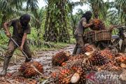 PTPN IV Regional III dukung gebrakan Kapolri berantas narkoba