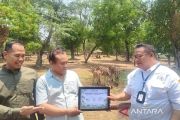 Bayi zebra Gayatri Loreng tambah koleksi satwa Afrika di Solo Safari