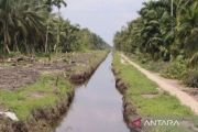 Menang Praperadilan, Polda Riau lanjutkan penyidikan jual beli lahan kawasan hutan di Rohil