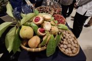 Wagub Lampung minta kembangkan komoditas unggulan di setiap KPH