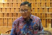Indonesia eyes rare earth minerals partnership with Gabon
